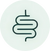 Digestive Support