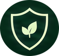 Daily Immune Support