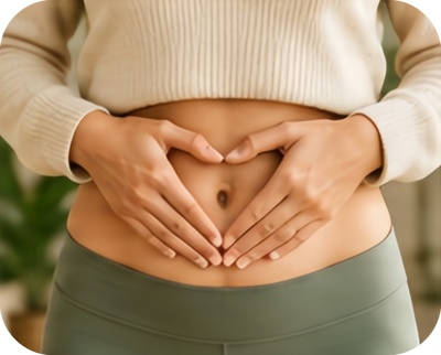 Digestion